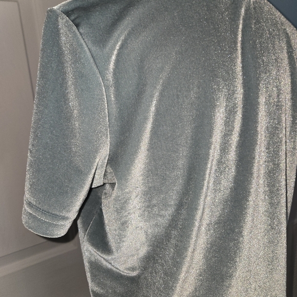 Madewell Small Seafoam Green Velvet Turtleneck Short Sleeve Top - Picture 5 of 12